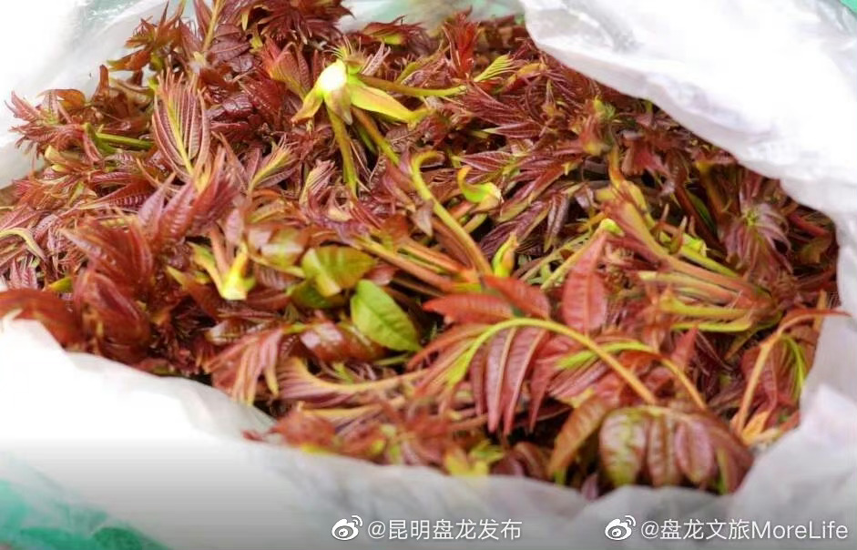 昆明盘龙发布