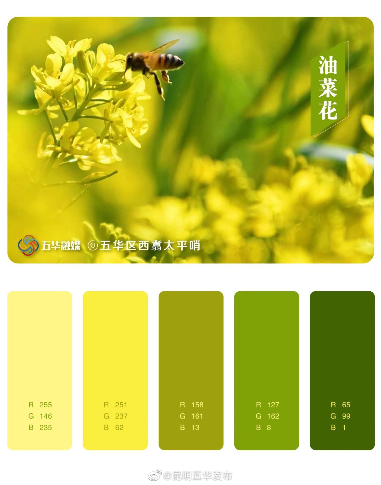 昆明五华发布