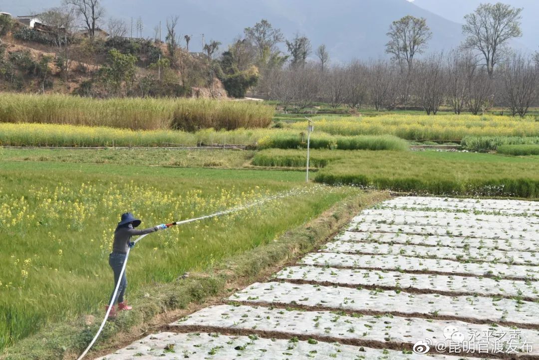 “昆明官渡发布”微博