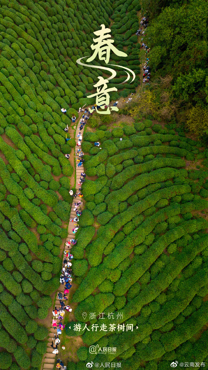 “云南发布”微博