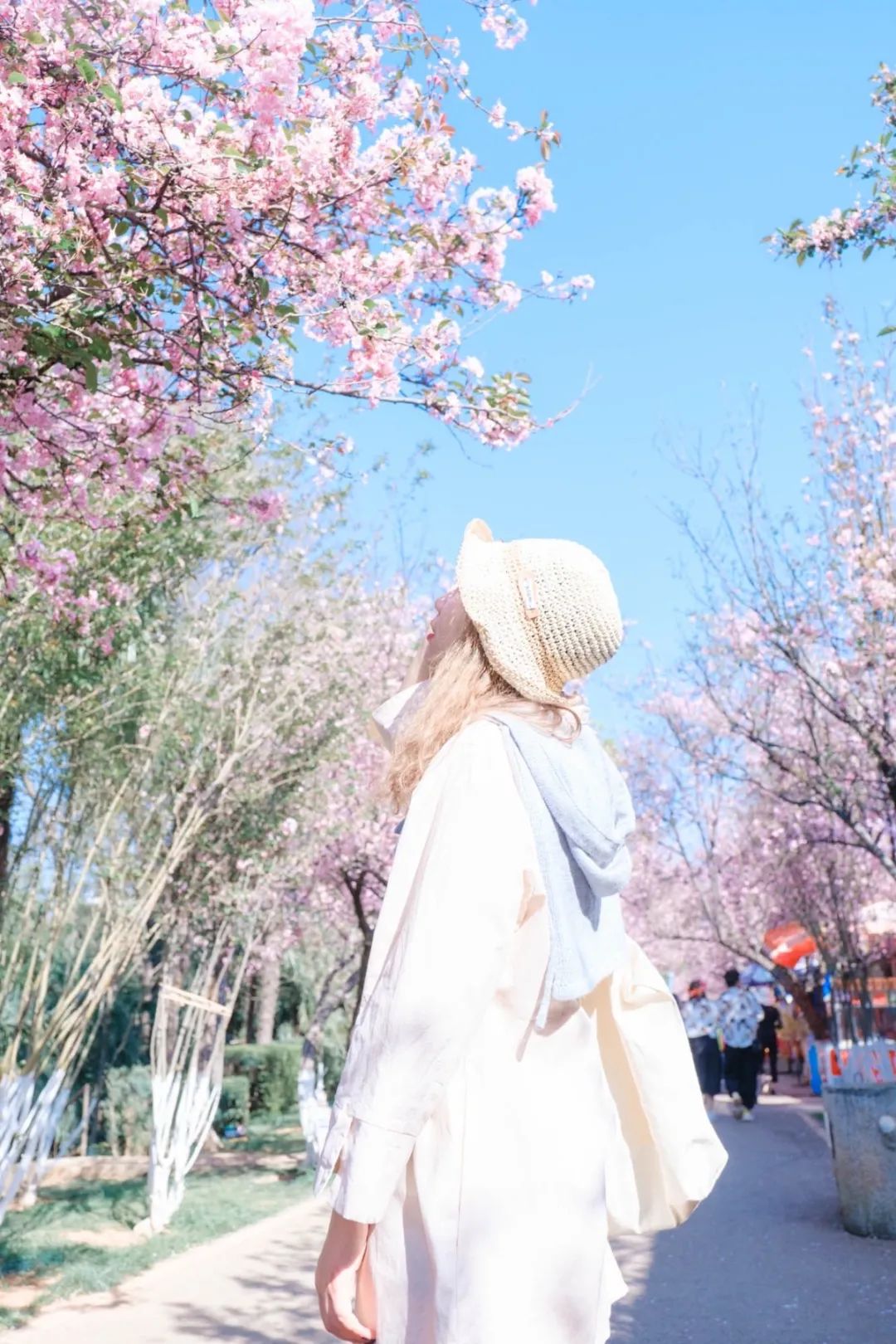 一部手机游云南