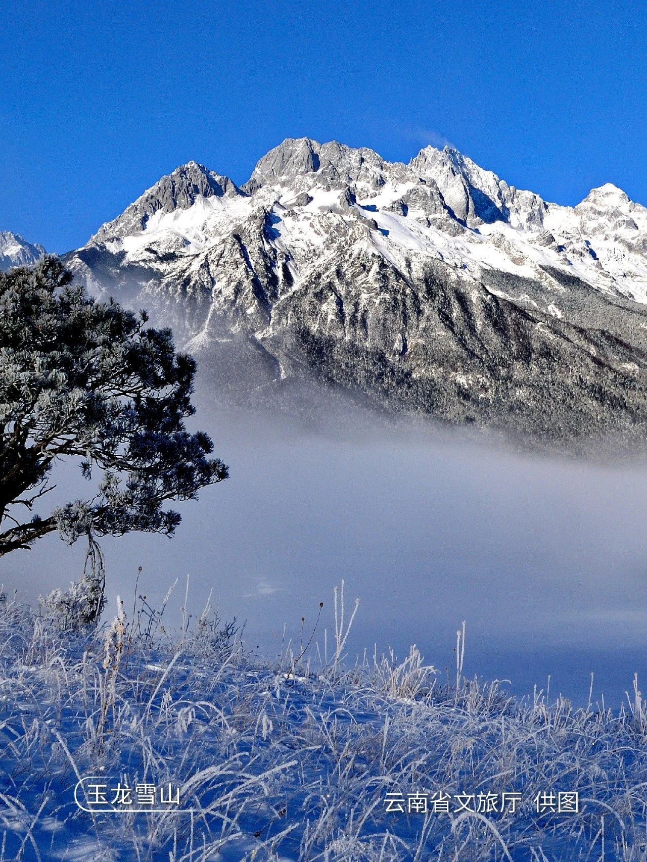 云南省文化和旅游厅