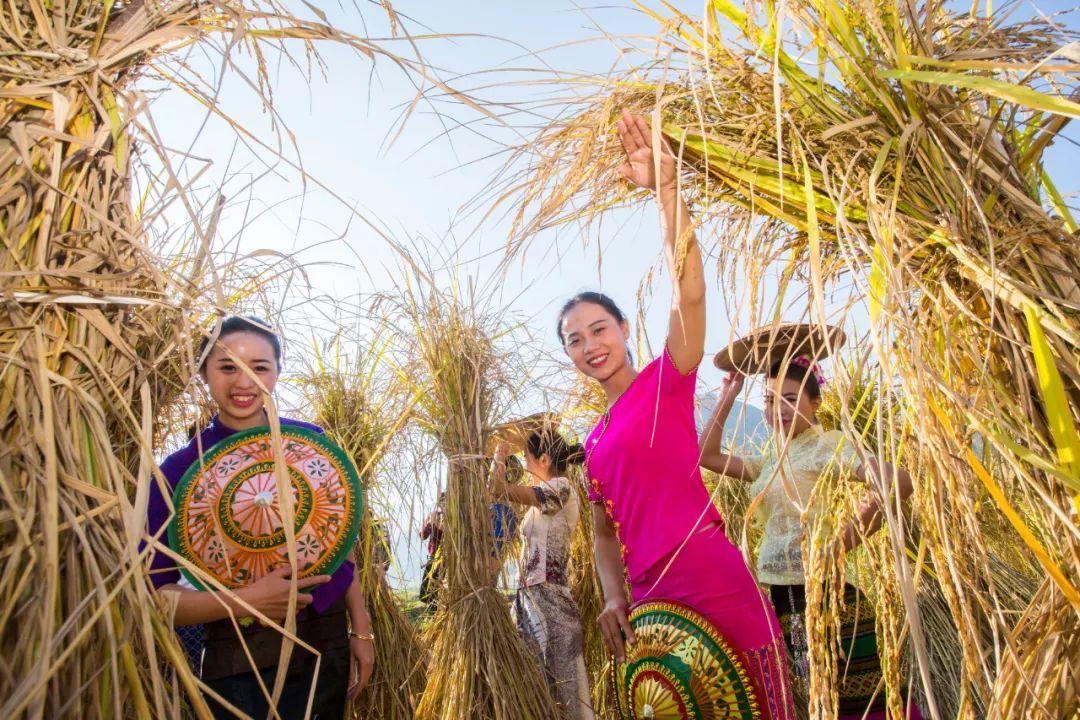 云南省文化和旅游厅