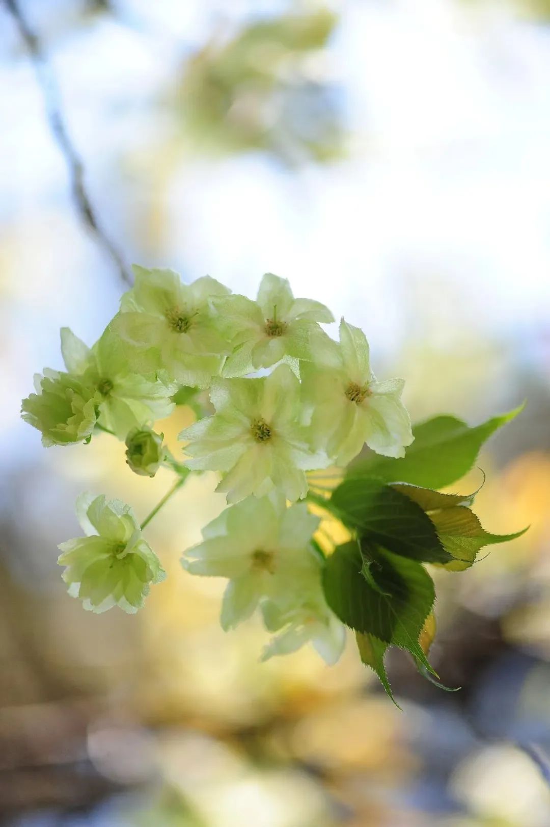 昆明市金殿名胜区