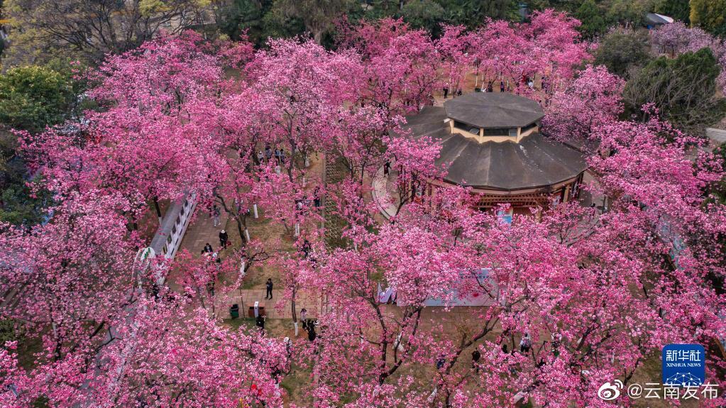 “云南发布”微博