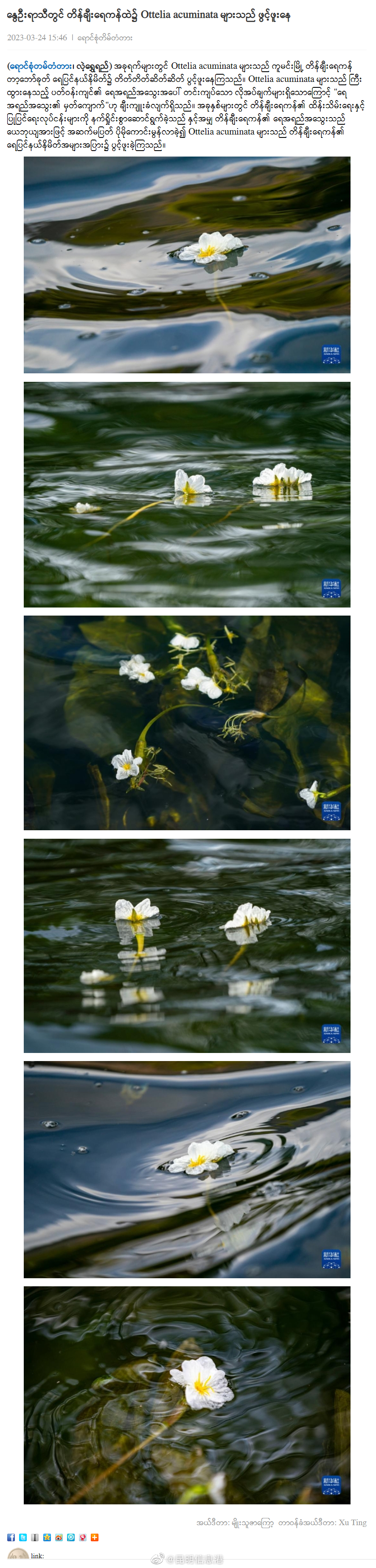 昆明信息港（微博）