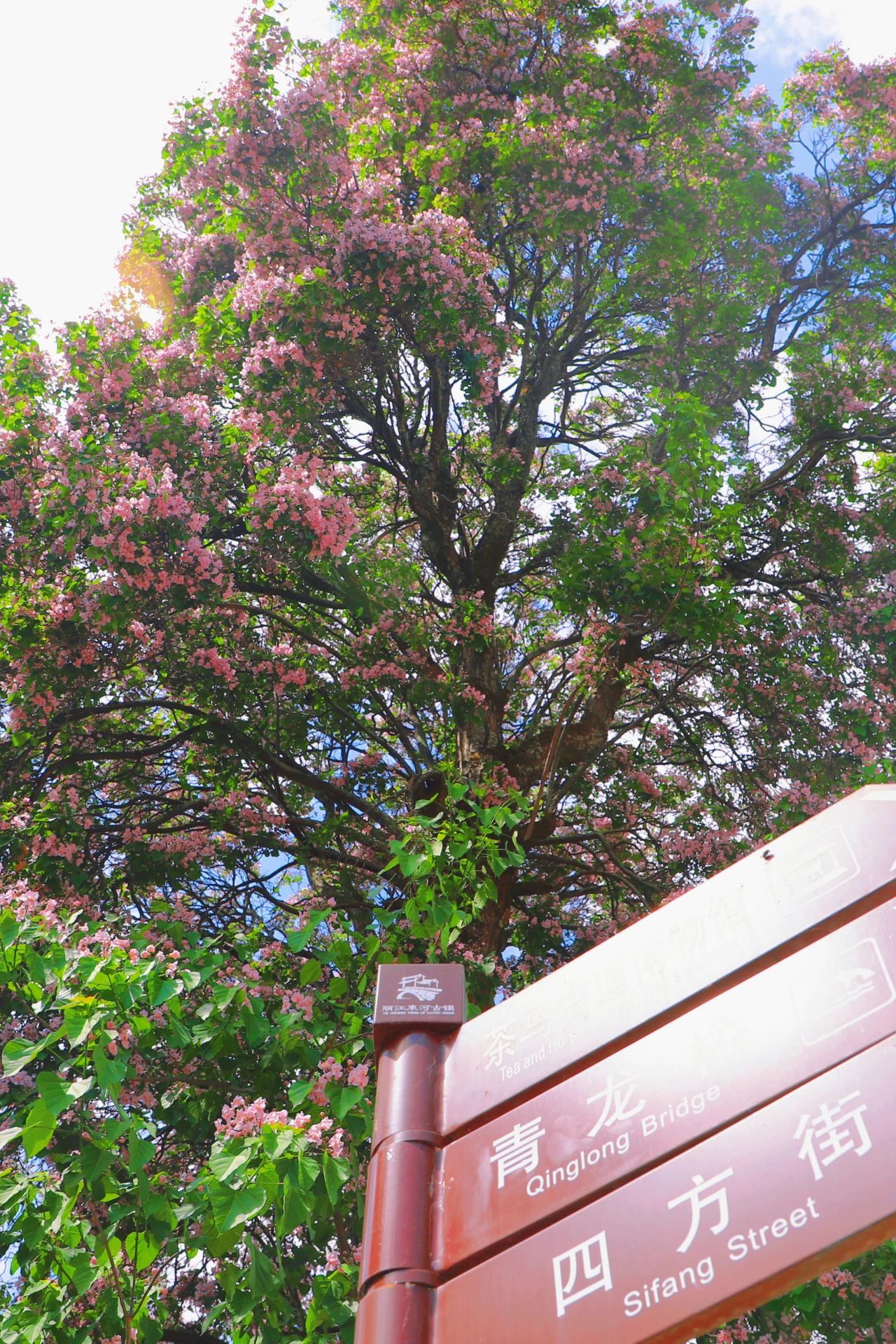 云南省文化和旅游厅