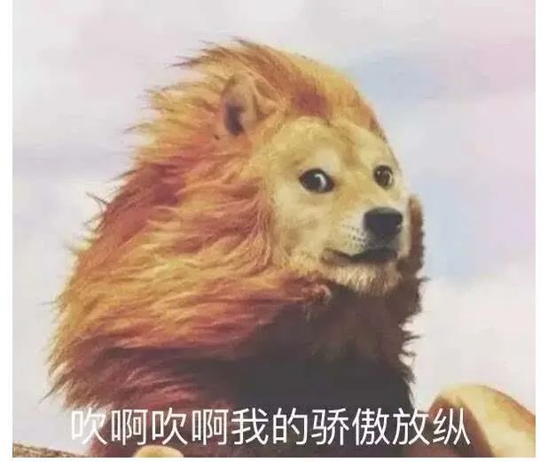 昆明发布