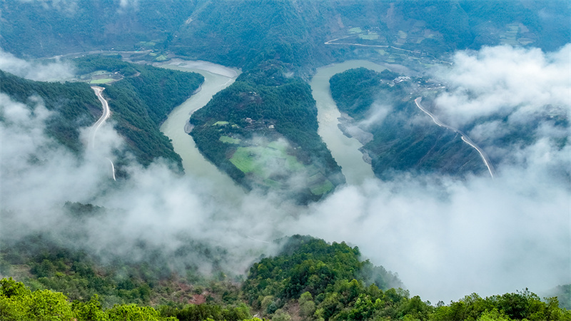 云南省文化和旅游厅