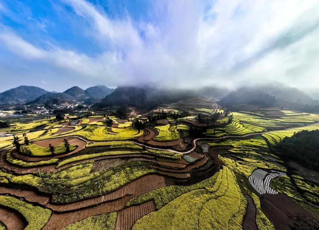 云南省文化和旅游厅