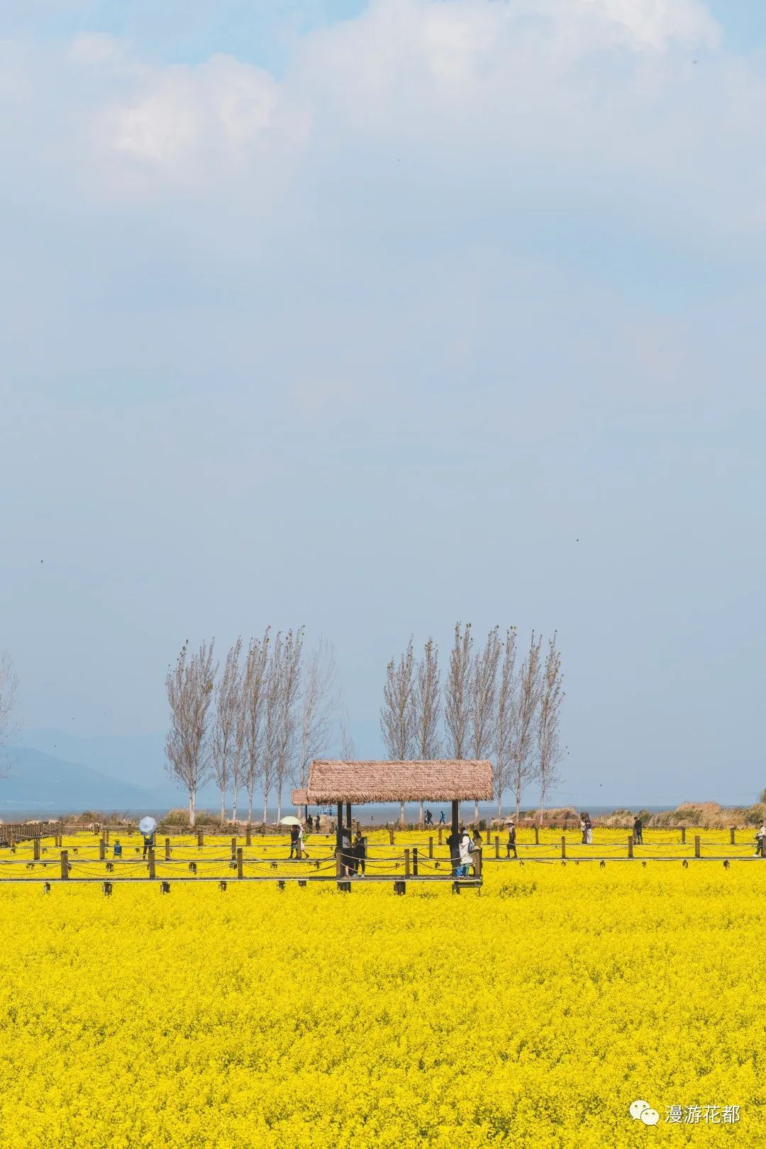 云南省文化和旅游厅