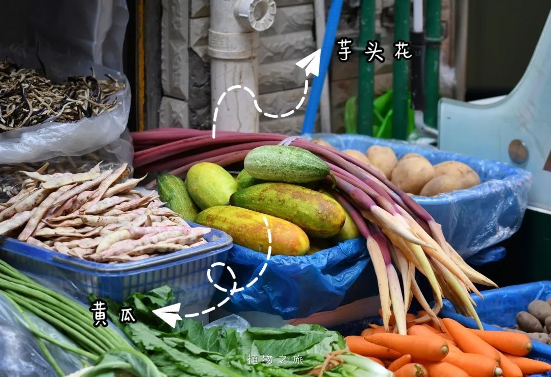 云南省文化和旅游厅