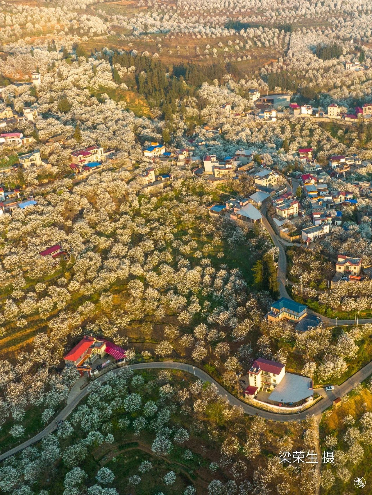 云南省文化和旅游厅