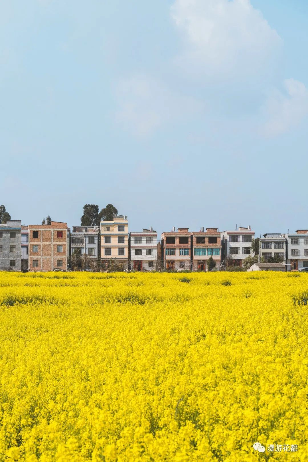 云南省文化和旅游厅