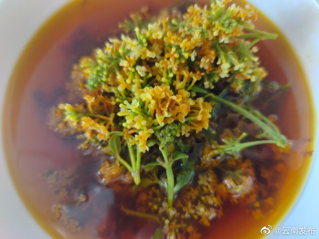 “云南发布”微博