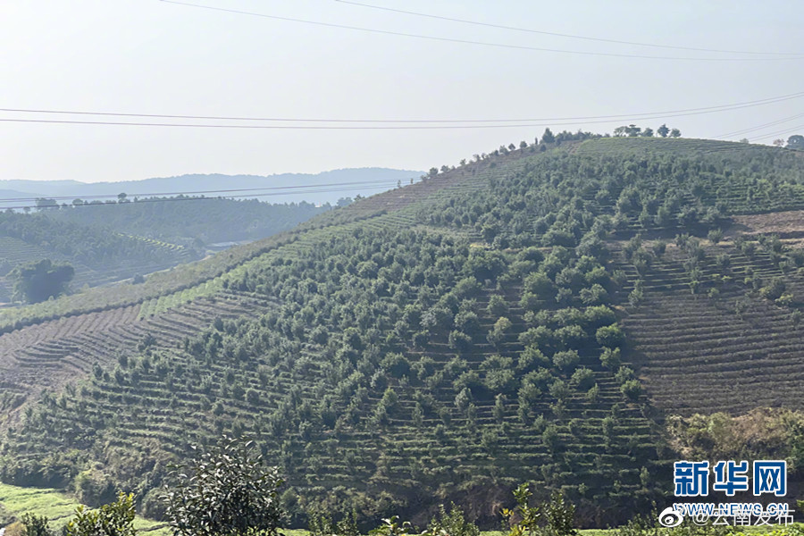 “云南发布”微博