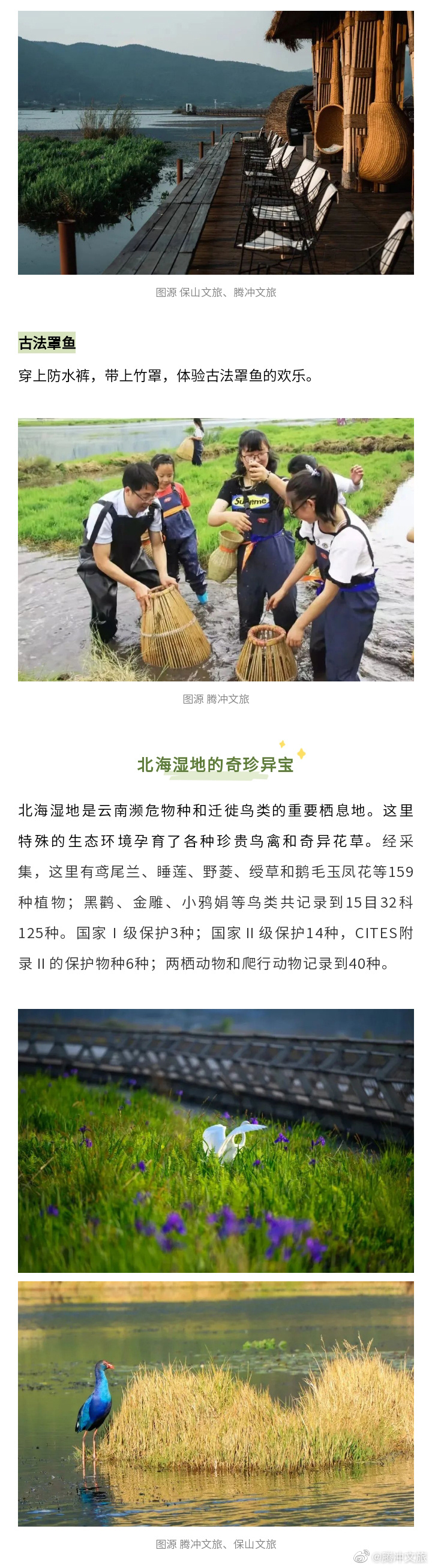 腾冲文旅微博