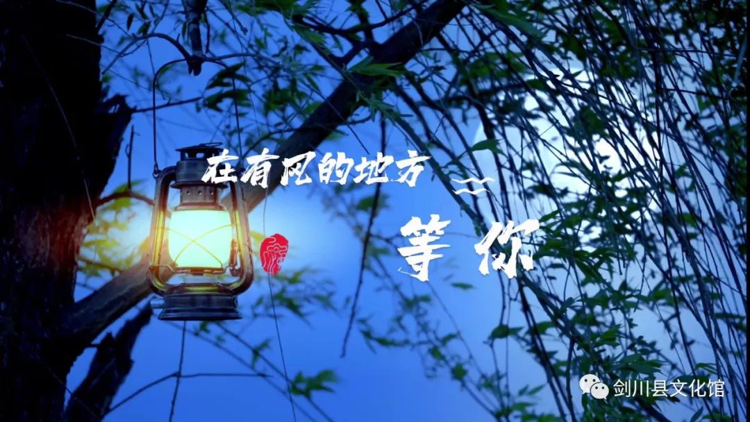 新华网云南频道