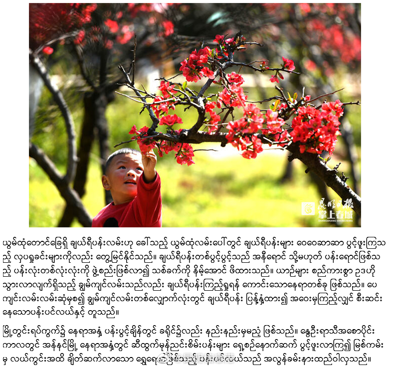 昆明信息港（微博）