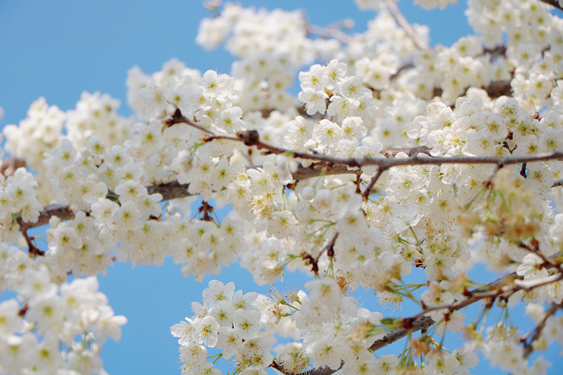 云南省文化和旅游厅