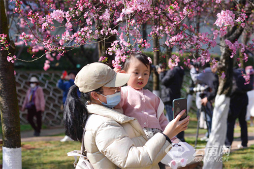 云南省文化和旅游厅