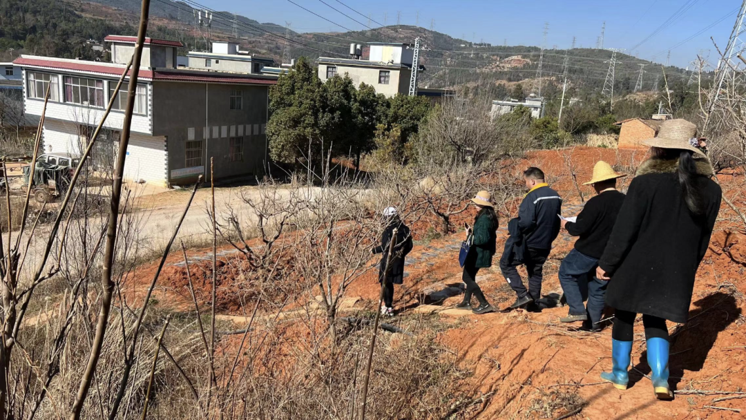 昆明市呈贡区人民法院