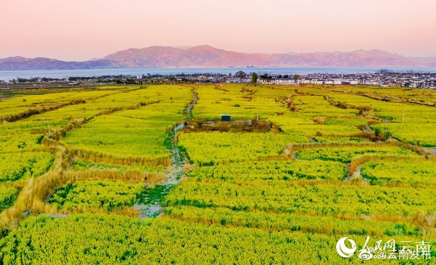 “云南发布”微博