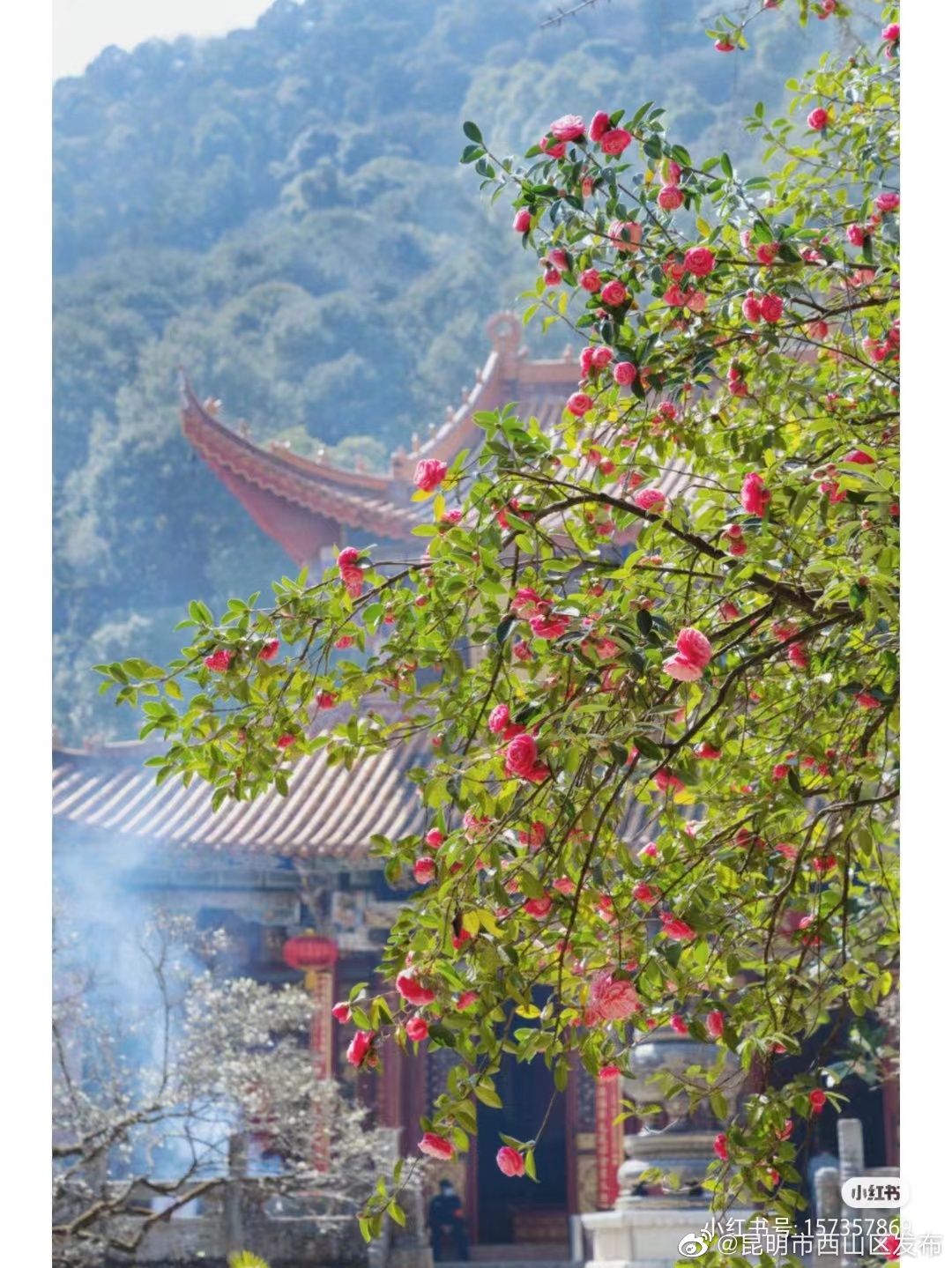 昆明市西山区发布