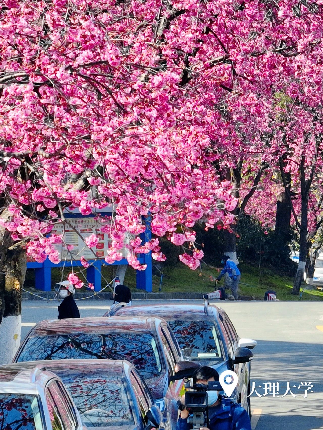 云南省文化和旅游厅
