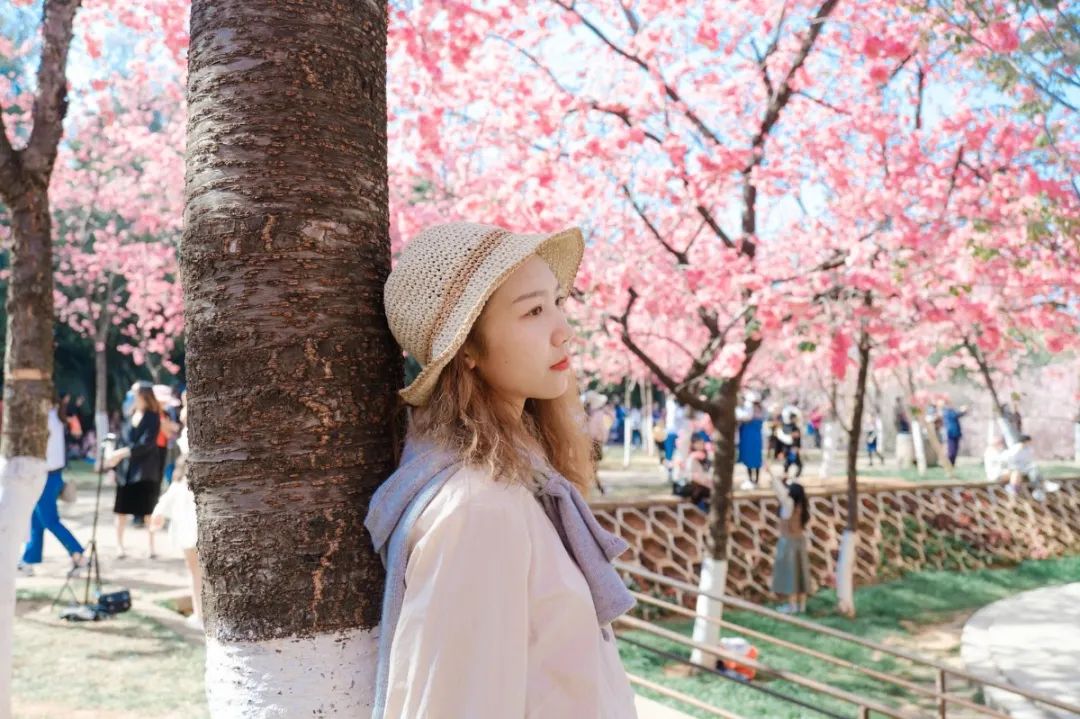 一部手机游云南