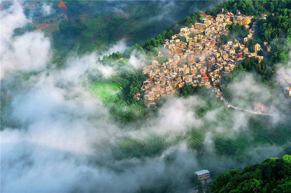 云南省文化和旅游厅