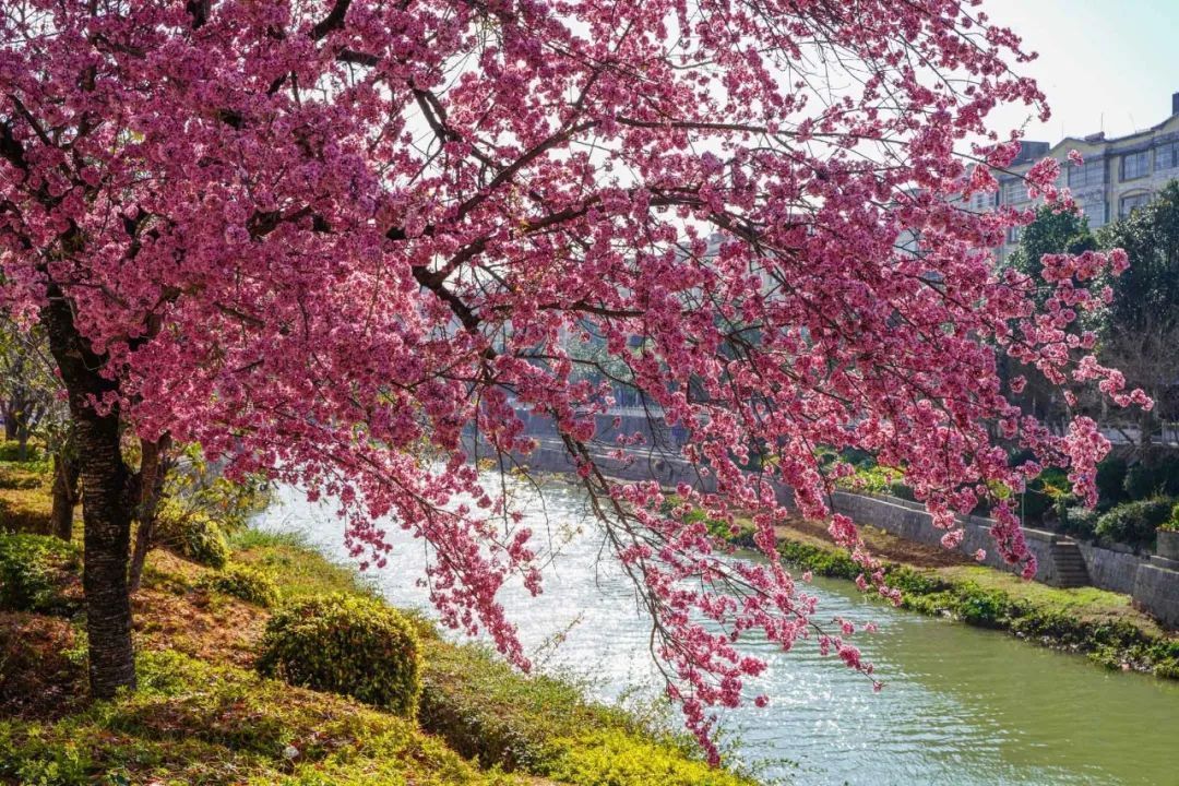 云南省文化和旅游厅