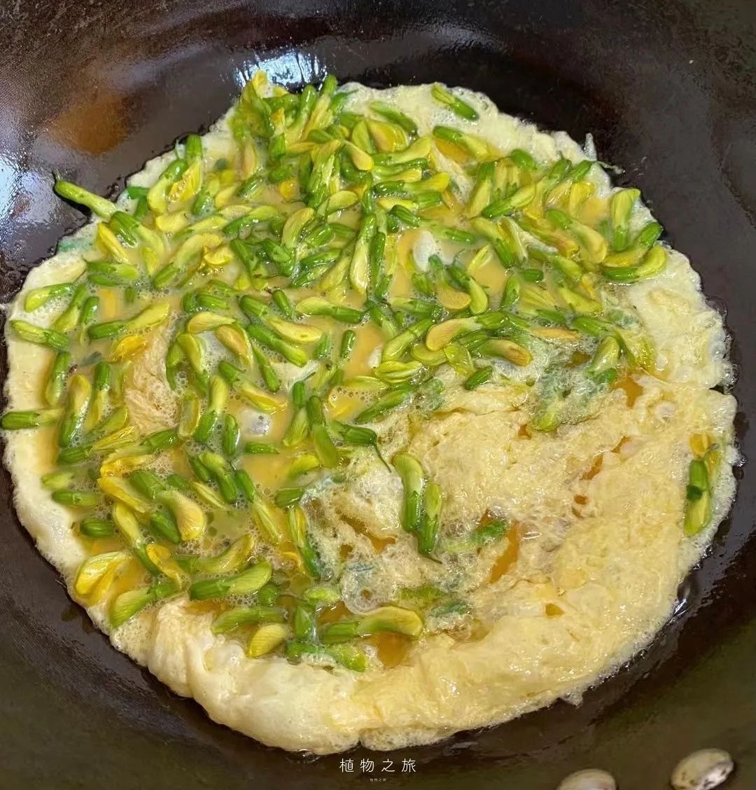 云南省文化和旅游厅