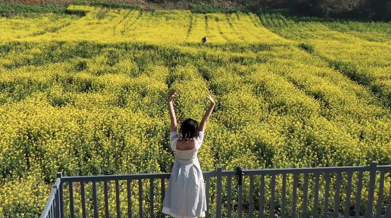 云南省文化和旅游厅