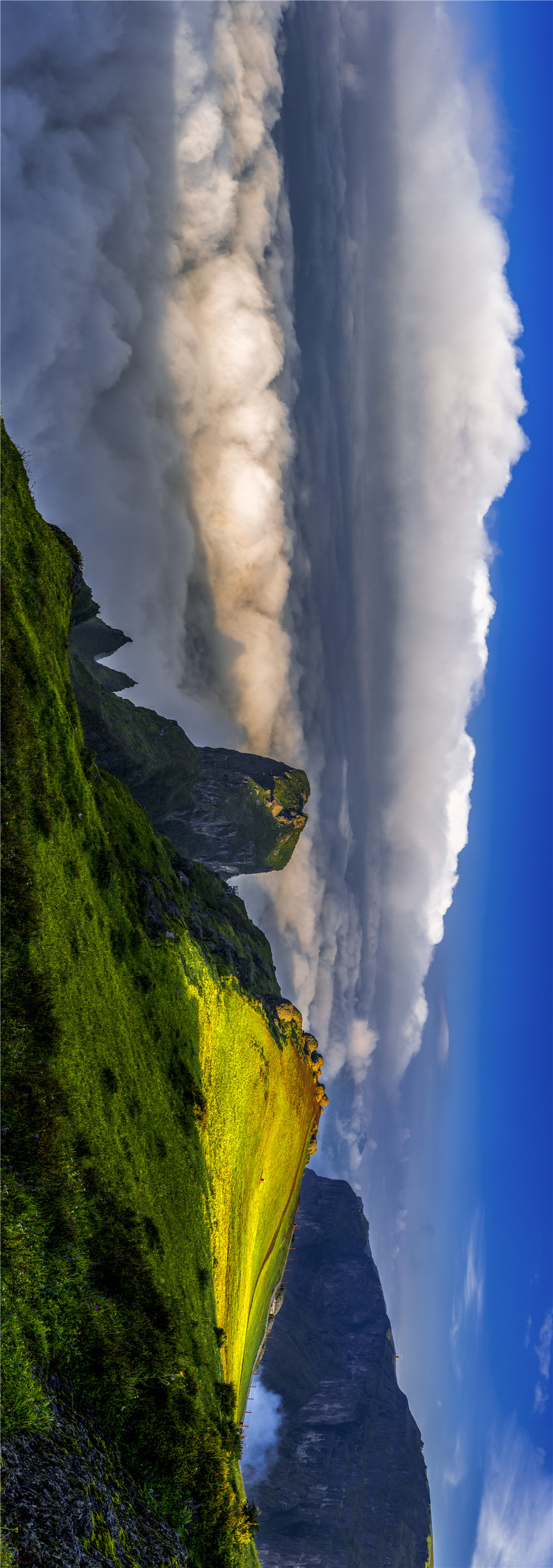 云南省文化和旅游厅