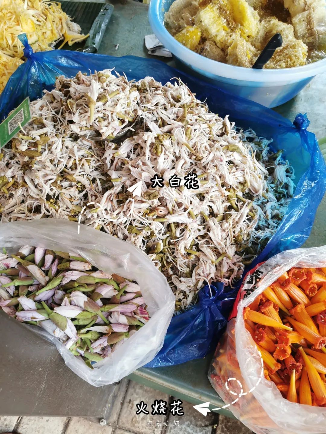 云南省文化和旅游厅