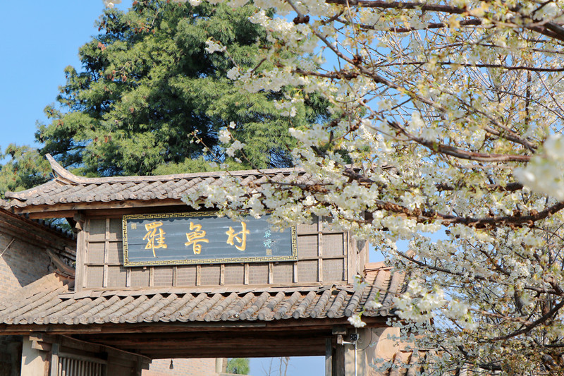 云南省文化和旅游厅