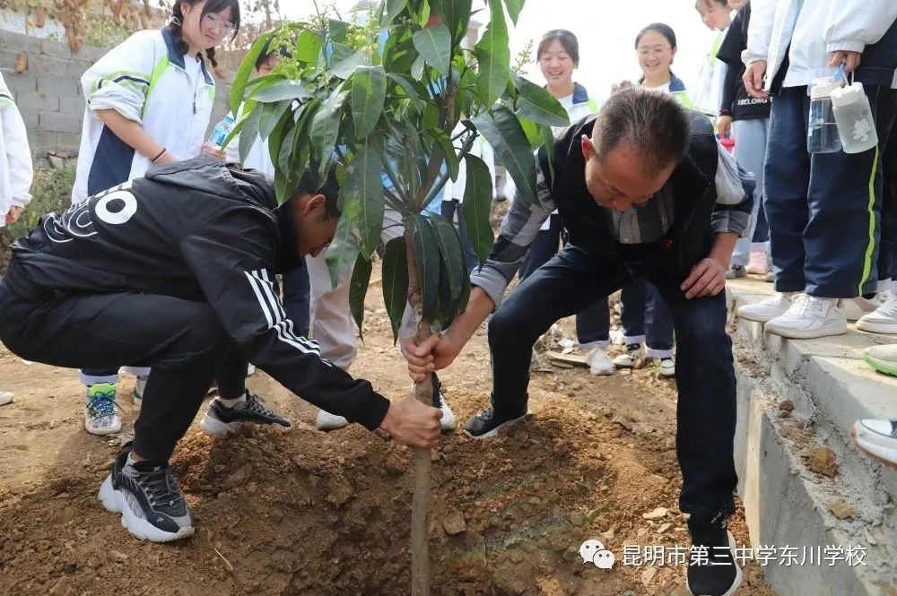东川教育