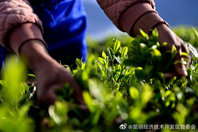 昆明经济技术开发区管委会