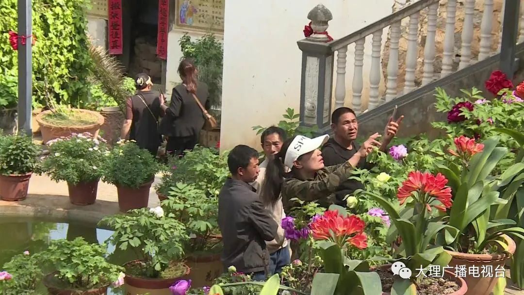 大理电视台