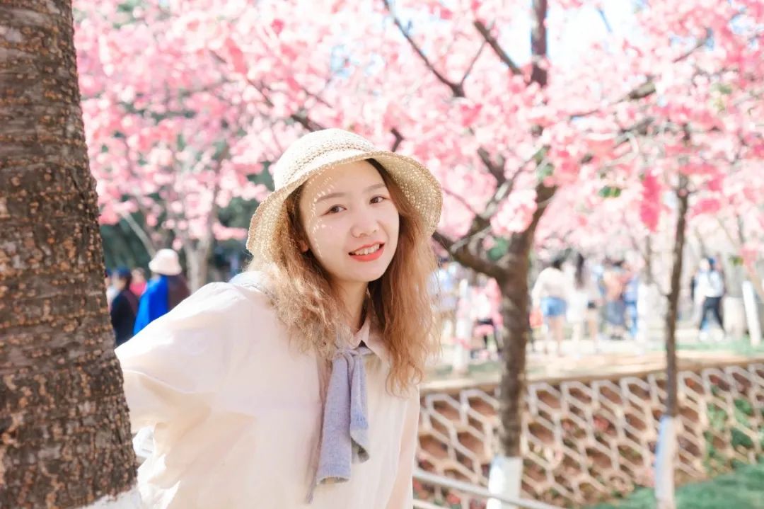 一部手机游云南