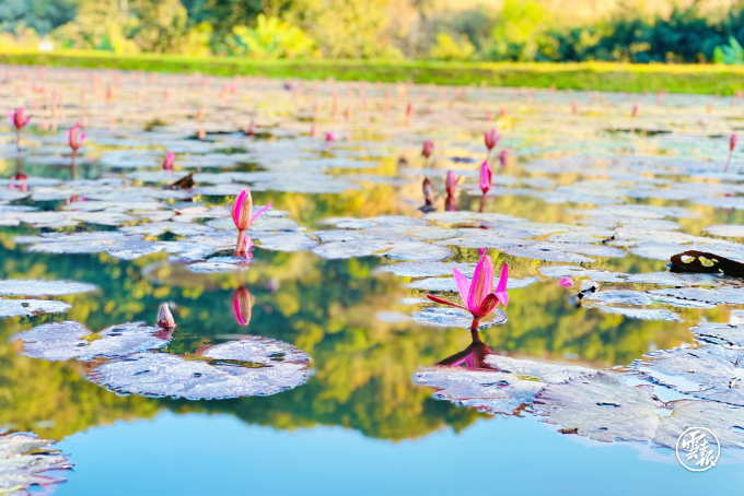 云南省文化和旅游厅