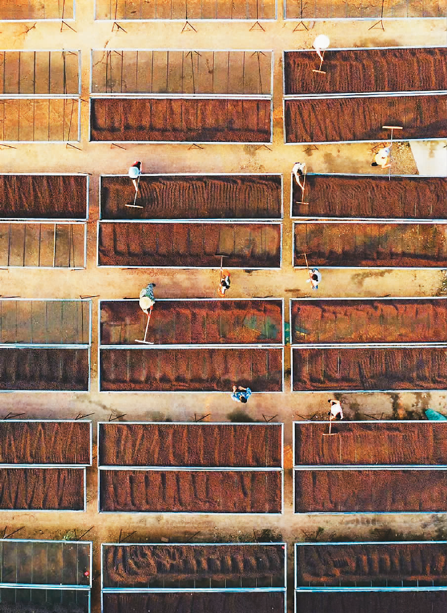 云南省文化和旅游厅