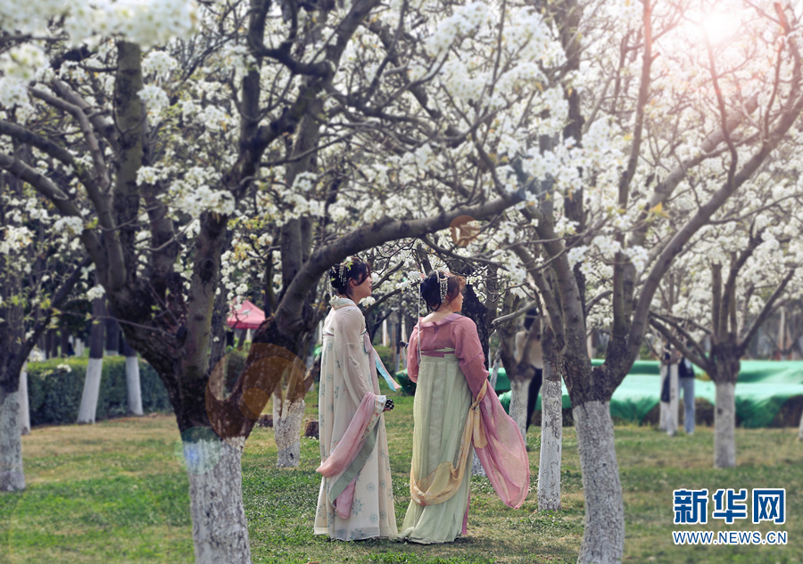 云南省文化和旅游厅