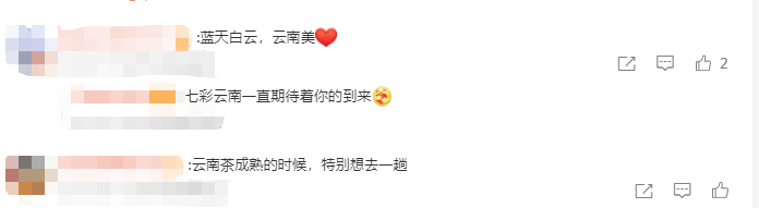 云南省文化和旅游厅