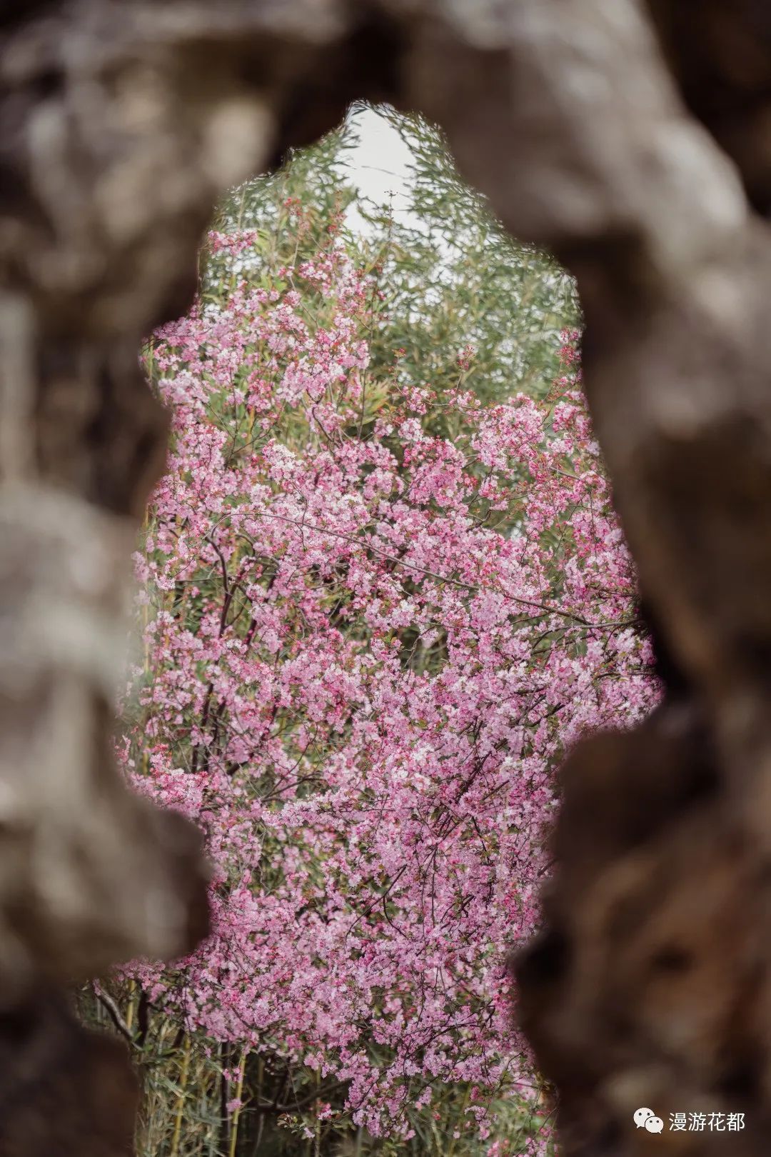 云南省文化和旅游厅