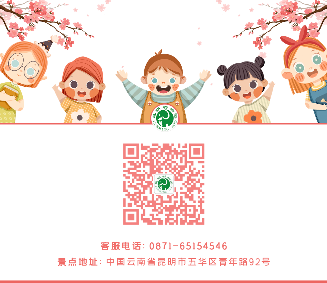 昆明动物园