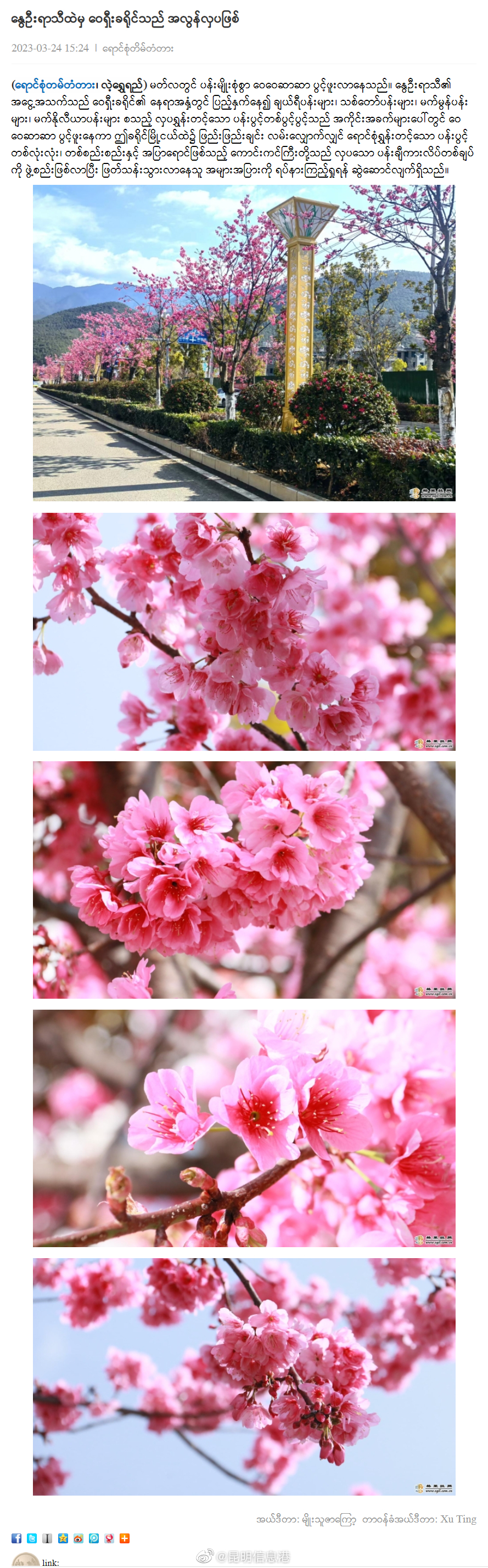 昆明信息港（微博）