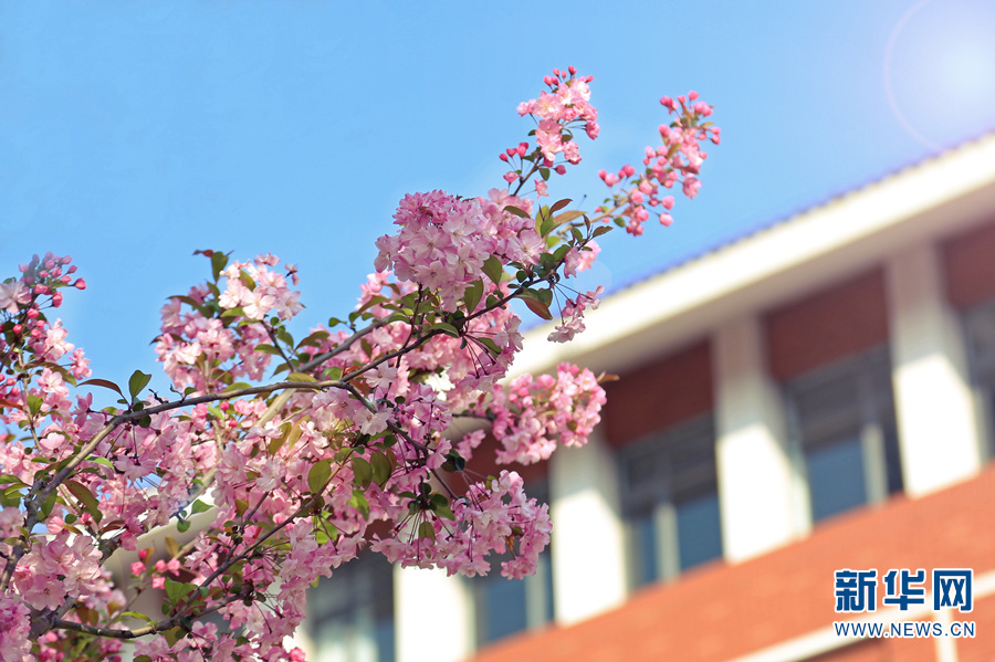 云南省文化和旅游厅