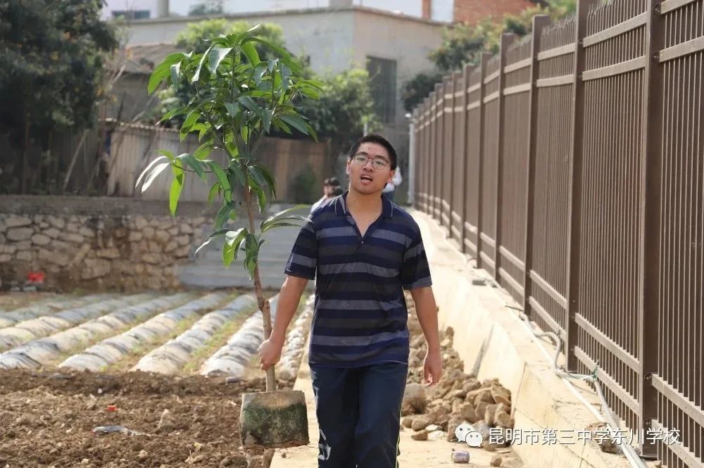 东川教育